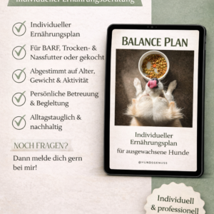Produktbild Balance Plan – individueller BARF- und Ernährungsplan für ausgewachsene, gesunde Hunde von HundsGenussProduktbild Balance Plan – individueller BARF- und Ernährungsplan für ausgewachsene, gesunde Hunde von HundsGenuss